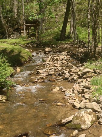 the-buck-house-inn-on