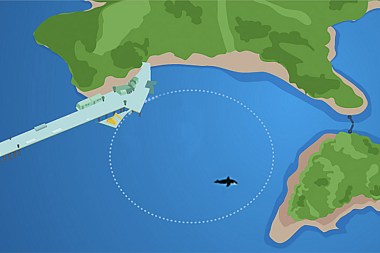 4-Sea-pens-grid1a-PROMO