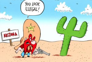 Racial Profiling cartoon