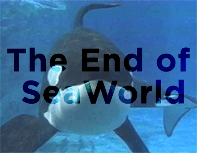 tumblr_nah6brWtVB1qb6v6ro1_400