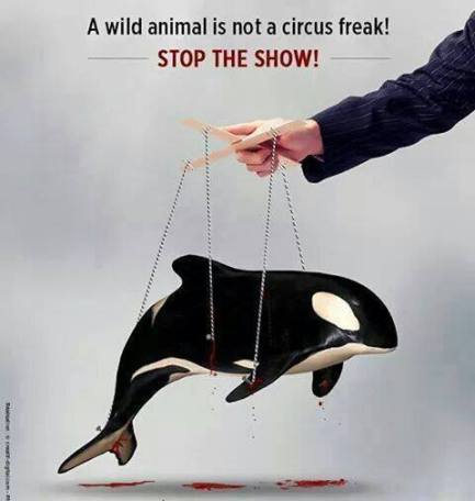 tumblr_nmkimgu2ye1qboecro1_500