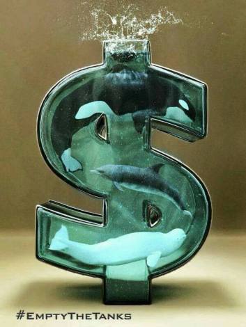 tumblr_nmkiqqZDiE1qboecro1_1280