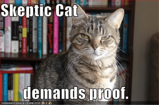 skeptic-cat