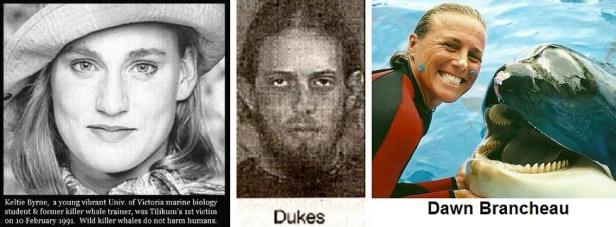 1d74232b45a64e875686c4e2ff1f0bbd