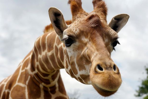 istock_6413768_medium