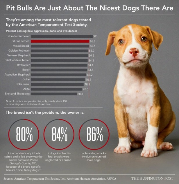 11.8.13-Pit-Bull-Myths