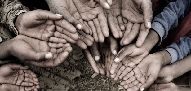 World_hunger_Solution_Borgen