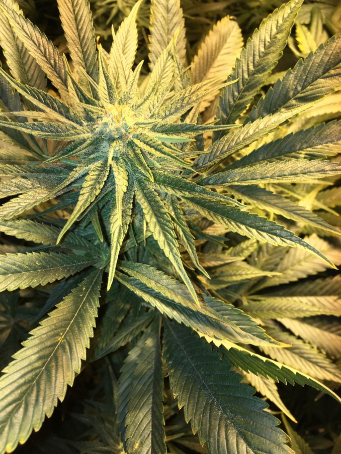 photo oct 27, 5 04 07 pm (1)