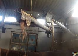 shredded chicks in factory farms