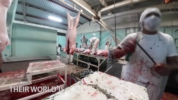 Slaughterhouse Psychology