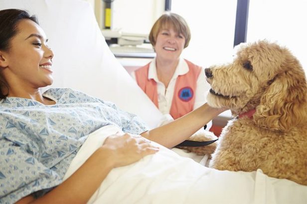 Ways-that-Dogs-Help-People