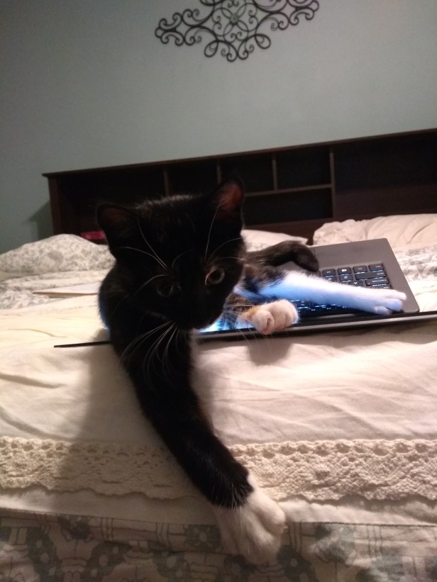 IMG_20180627_200325877