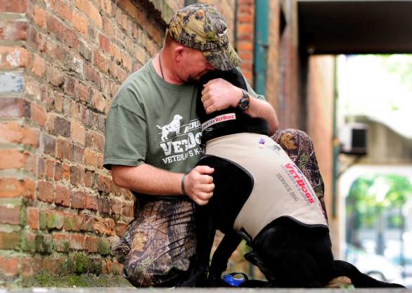 service-dogs