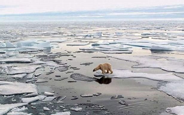 melting ice.jpg