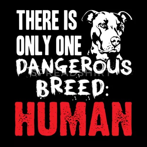pit-bull-just-a-dangerous-human-baby-t-shirt