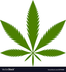 Image result for weed leaf